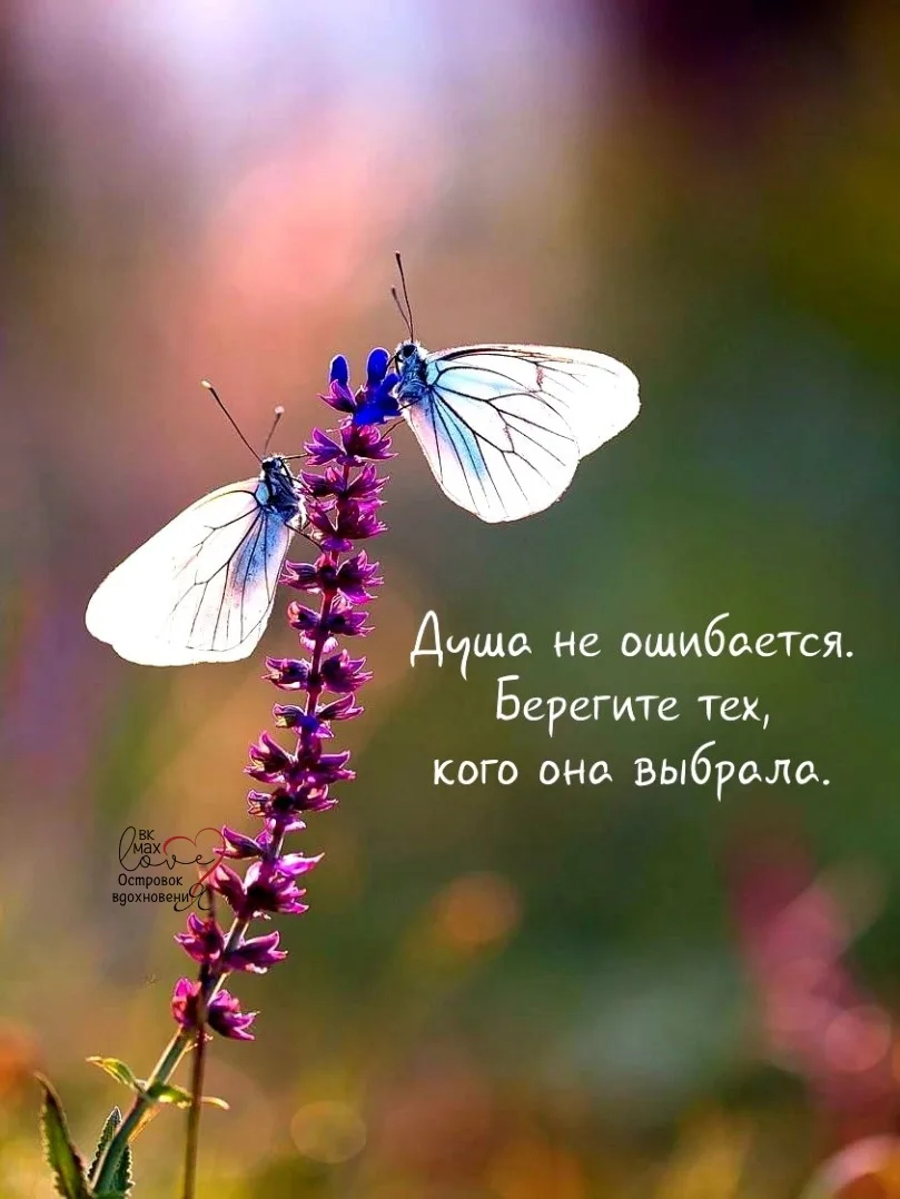 Душа знает закон притяжения лучше нас.