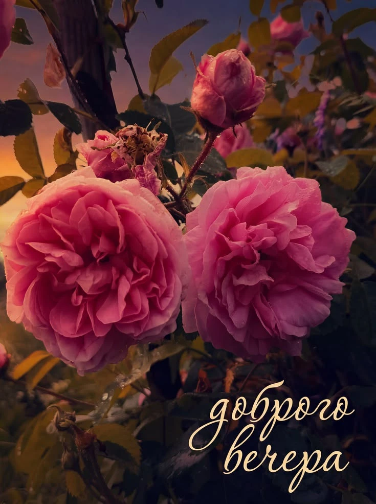 Открытки любимым 🌸🥰