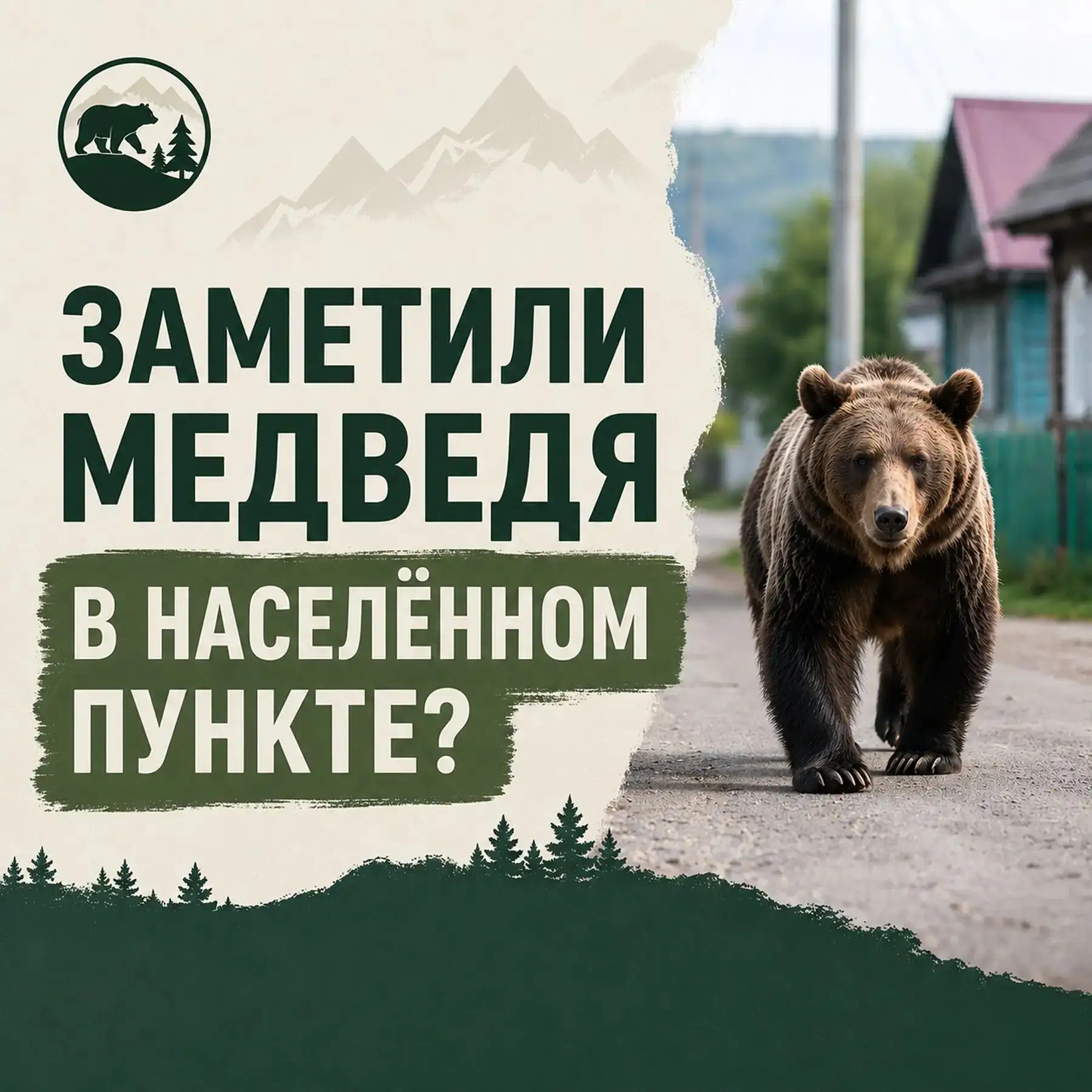 Если вы заметили медведей в населённых пунктах или рядом с жилыми массивами, соблюдайте...