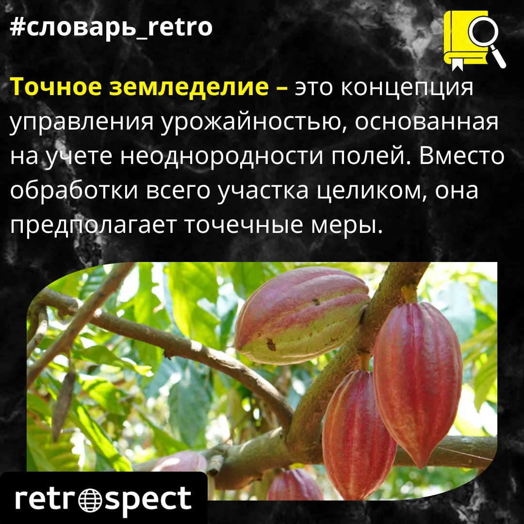 Как ИИ помогает выращивать шоколад?🍫 

Еще полвека назад фермер мог определить состояние урожая тол