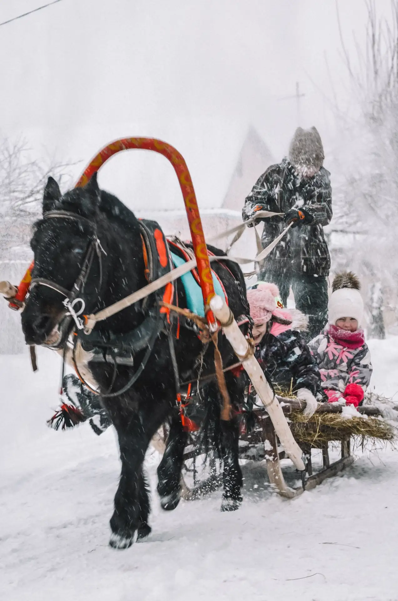 Фотопробег 📸   Марафон голосования. День третий❄️  Голоса засчитываются только от подписанных на наш