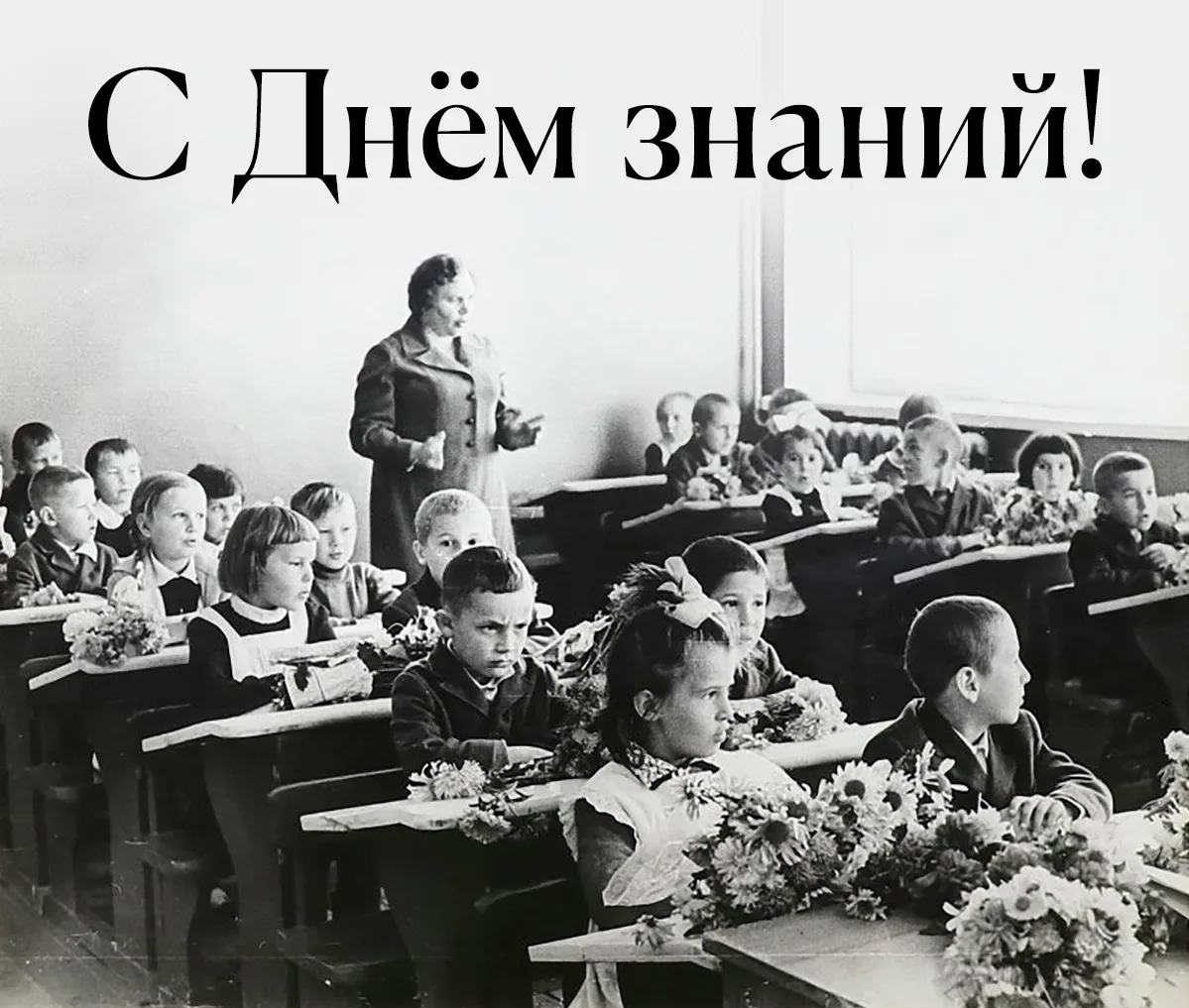 С Днём знаний📚