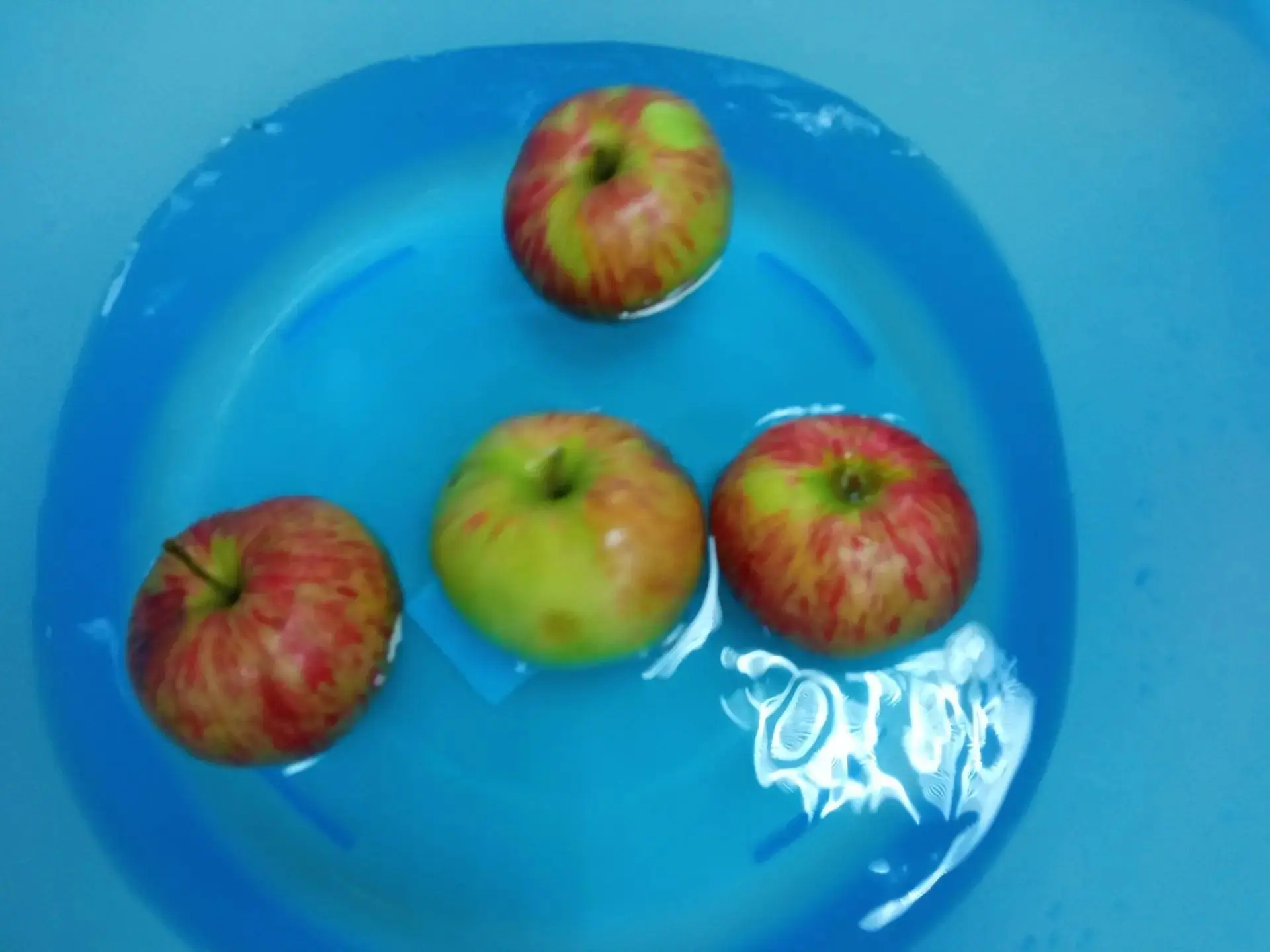 КАК ОТМЕТИТЬ ЯБЛОЧНЫЙ СПАС? 🍎🍏                                                       ...