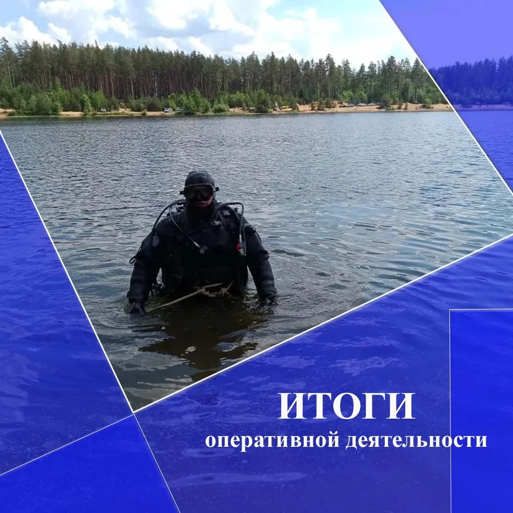 В период с 8 июня по 14 июня 2026 года поисково-спасательные подразделения Аварийно-спасательной слу