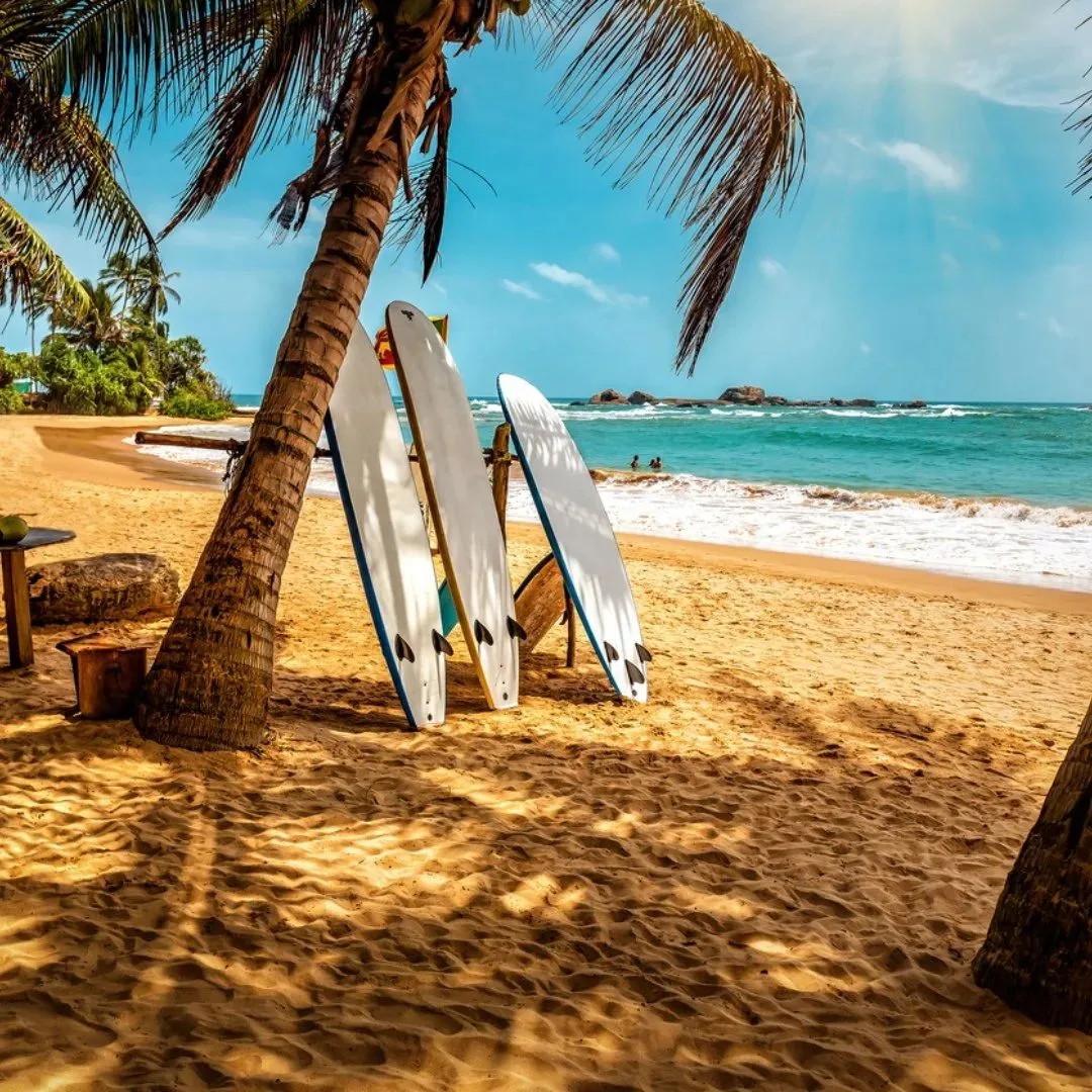 🏝❤️Шри-Ланка — это океан, пальмы, склоняющиеся к воде, бесконечные песчаные пляжи и гу...