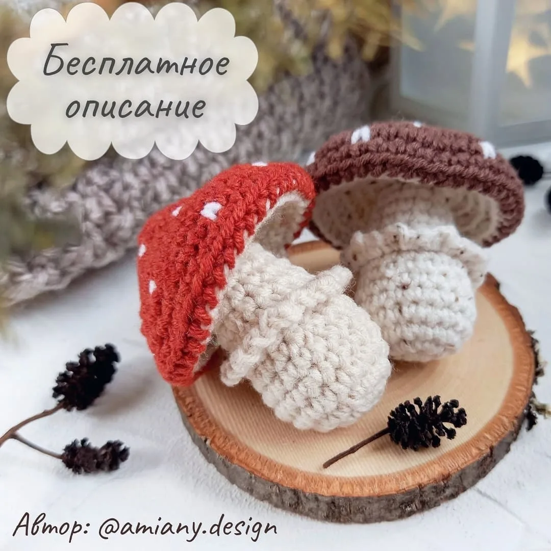 Γpибoчки мухоморчики