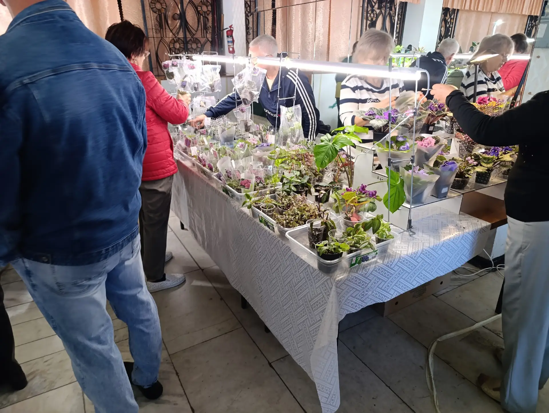 В ДК проходит выставка каких-то растений🌿здесь и Гладиолусы и Гирбеолусы и чего только...
