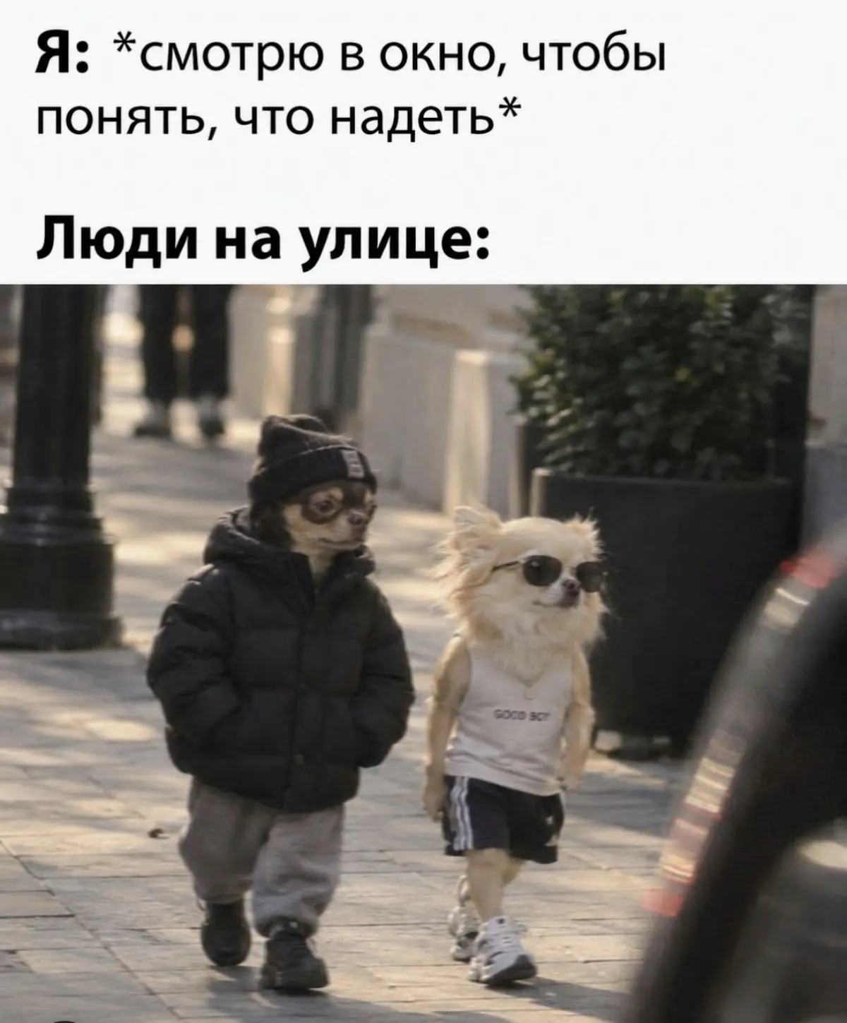Коротко о погоде за окном 😀
