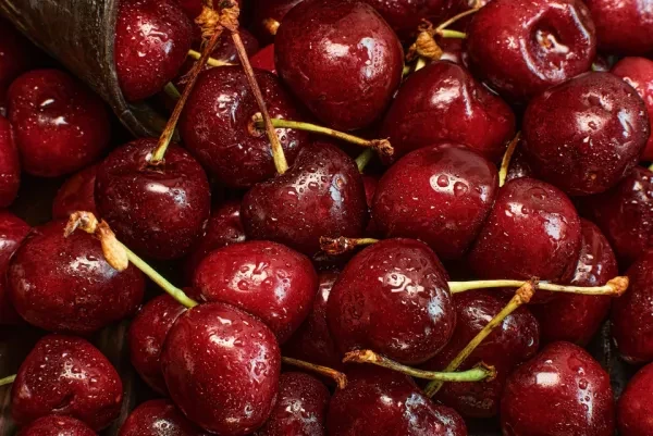 Что означает фраза "mit dem ist nicht gut Kirschen essen"?🤔