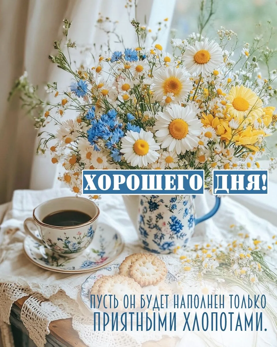 ПРАЗДНИКИ СЕГОДНЯ | ОТКРЫТКИ