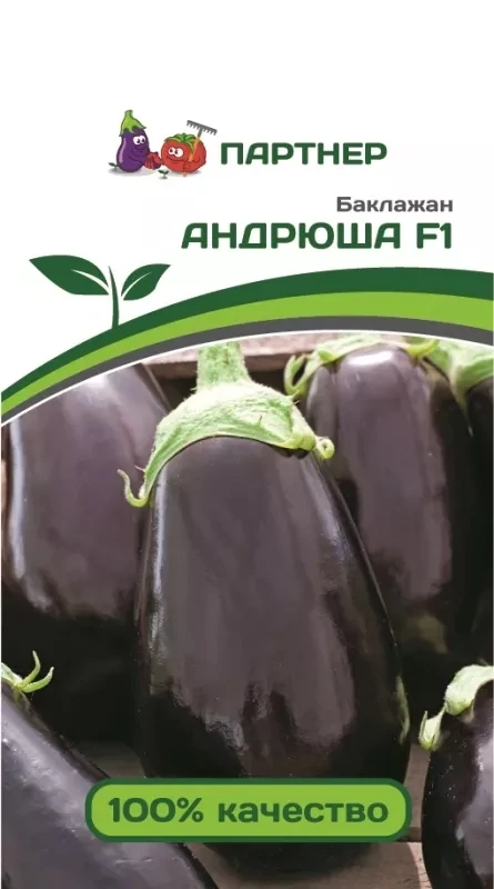 Баклажан 🍆 Андрюша — непревзойденная классика среди садоводов! Этот элегантный темный красавец радуе