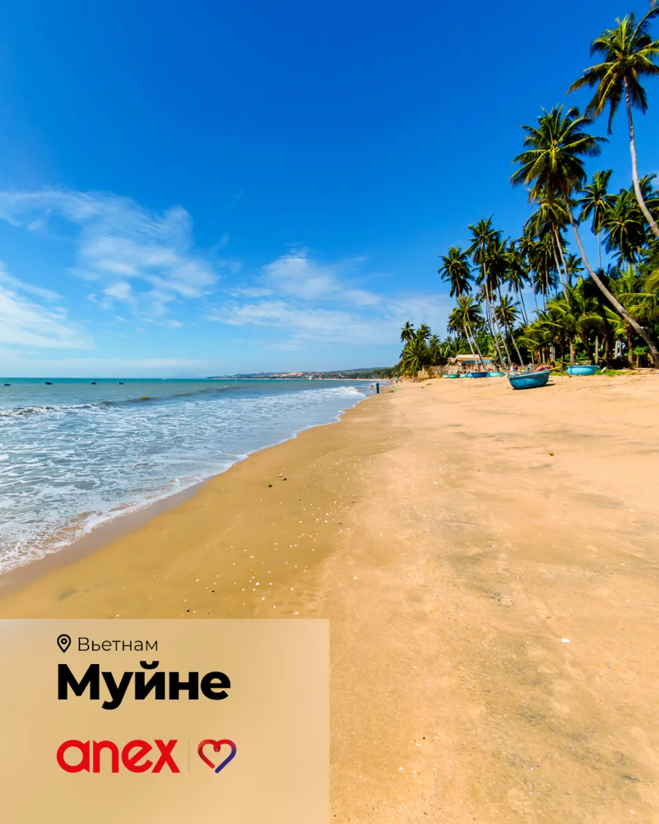 Ноябрь во Вьетнаме: почему стоит выбрать Муйне? 🌴