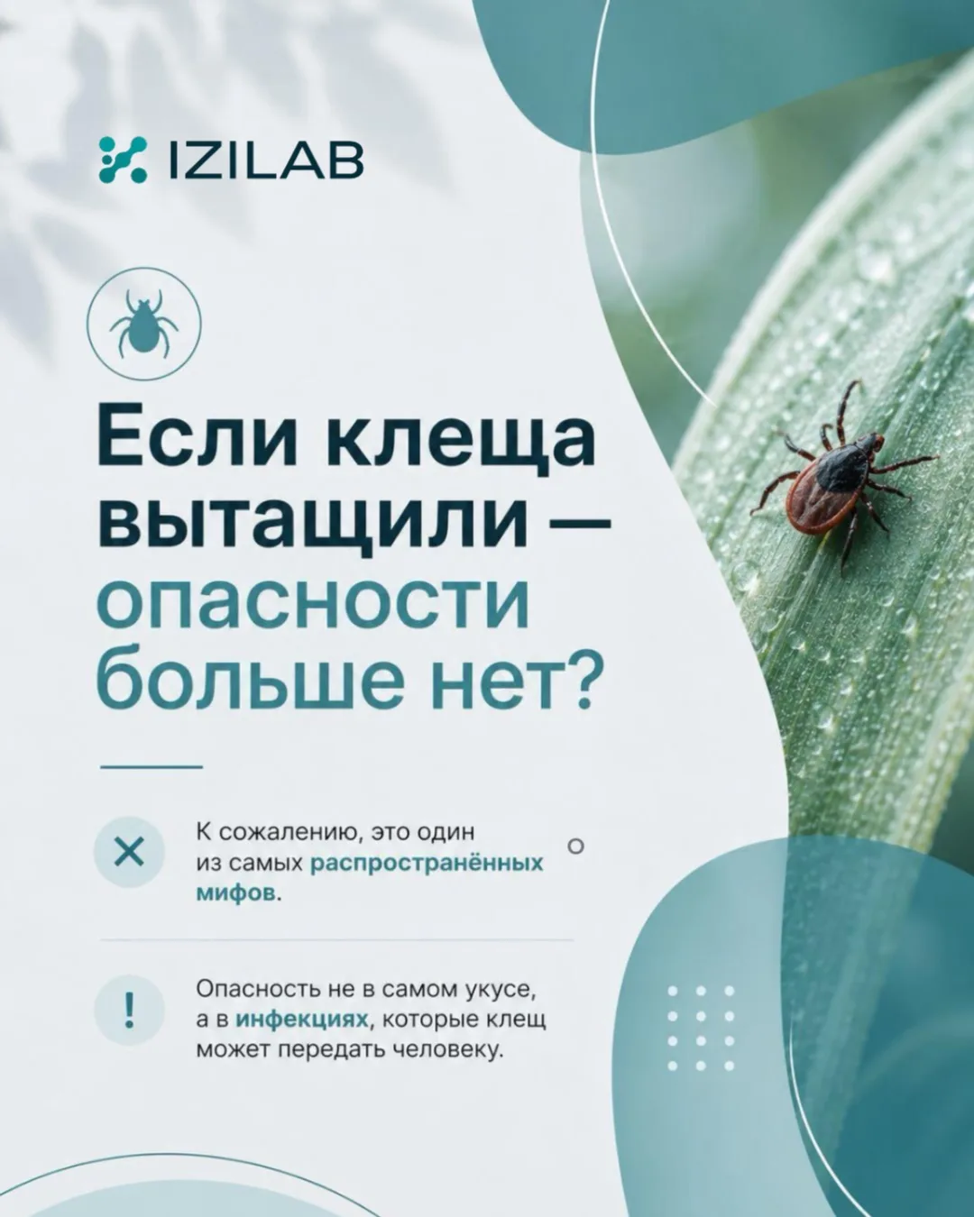 🕷️ Клещ может укусить всего на несколько минут. Последствия - на годы.

Многие думают, что опасен т