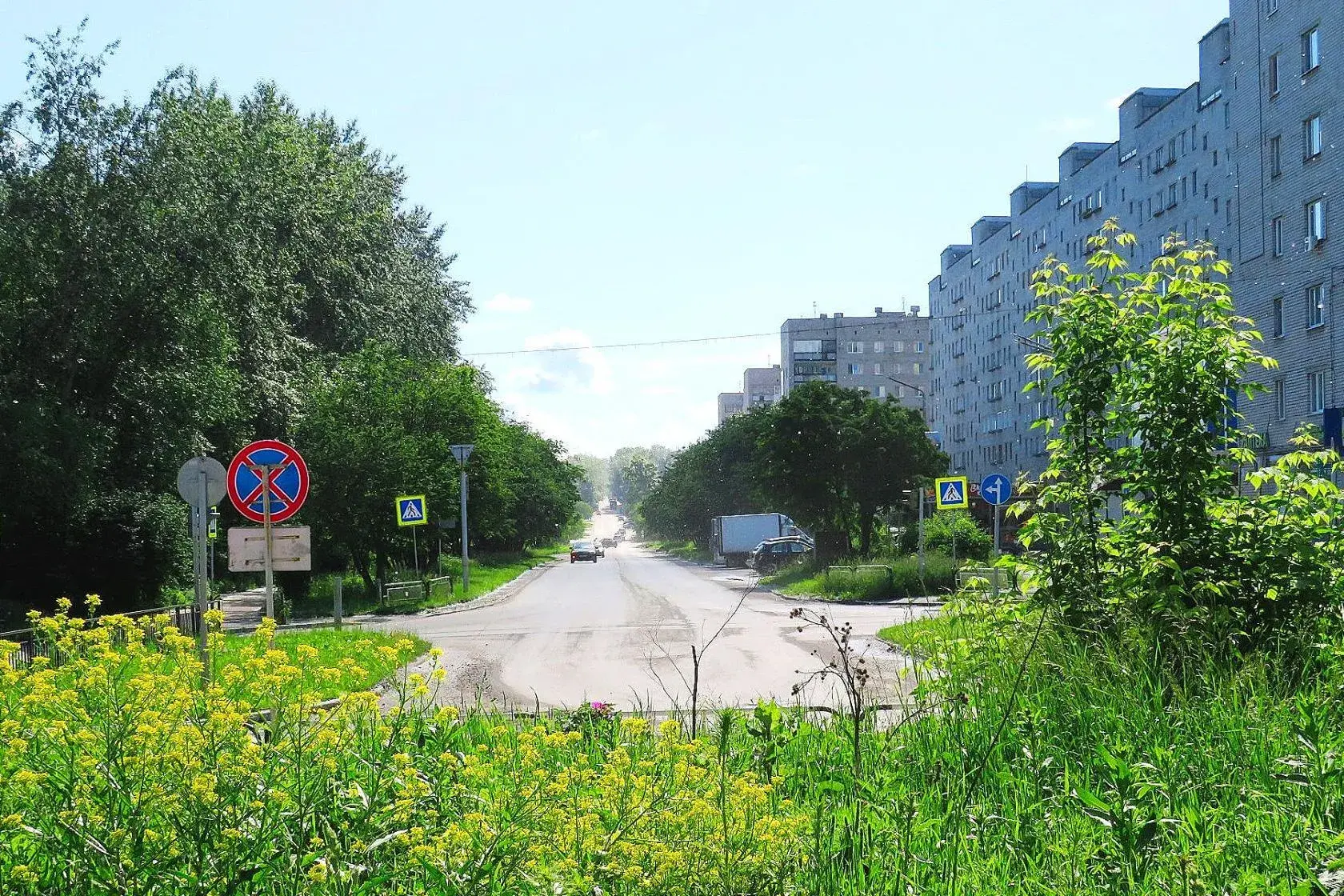 🌇🌇🌇 Доброе утро, Асбест!
Сегодня День создания юннатского движения в России.
На 15 июня синоптики