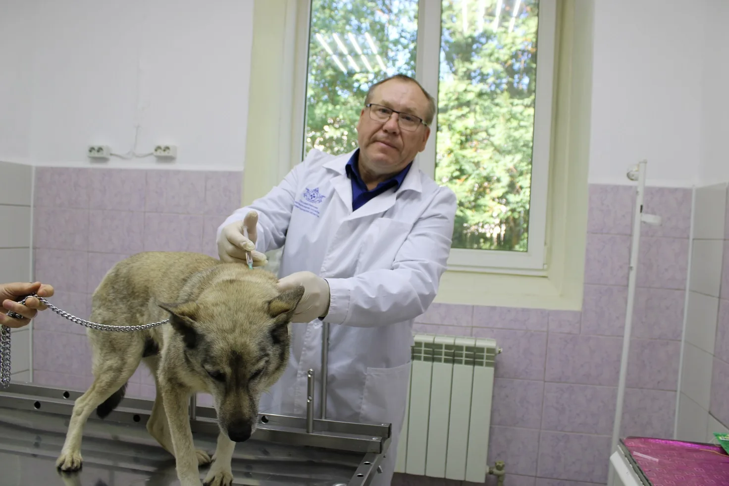 Уважаемые сотрудники и ветераны ветеринарной службы! Примите искренние поздравления с в...