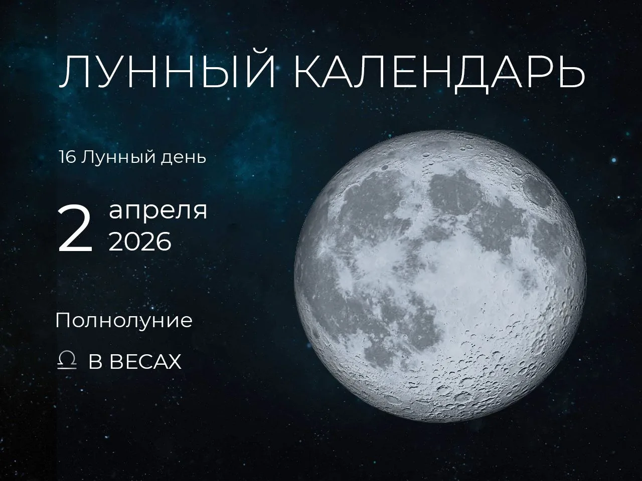 📆 Рекомендации дня: