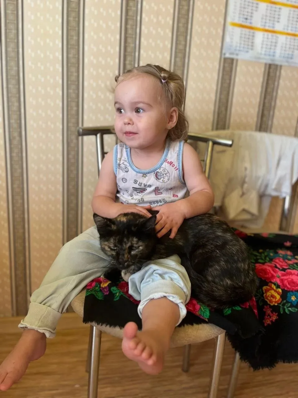 На фотографиях ребята запечатлены вместе со своими домашними питомцами: собаками, кошка...