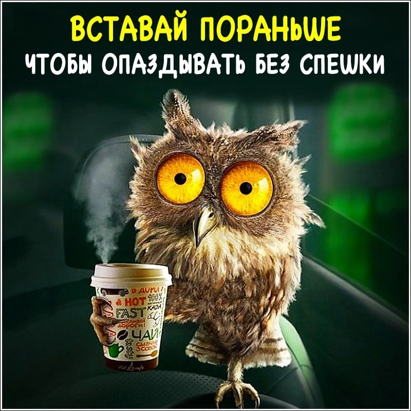 Пятница! можно немного и опоздать, хотя мы такое не одобряем, всем хорошего дня!😄