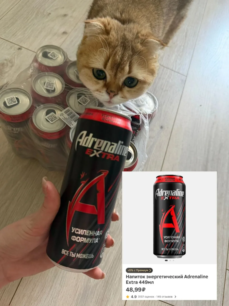 Магнит 🧲