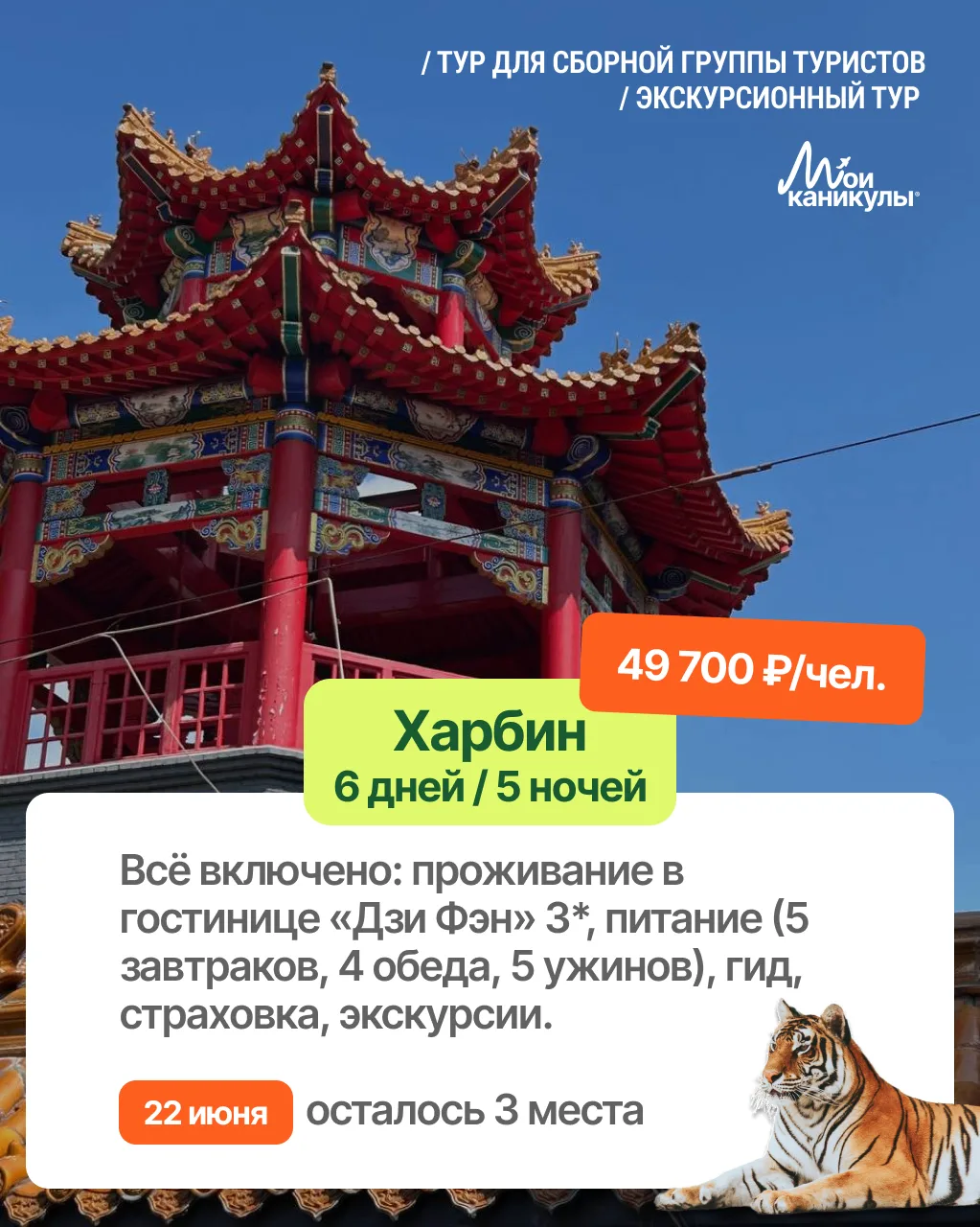 Китай — это не только магазины и пельмени🥟