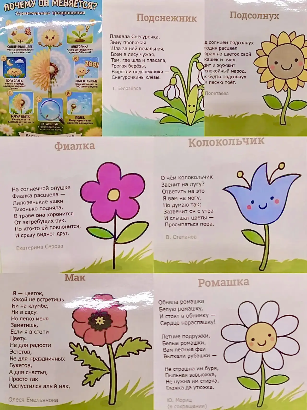 🌻🐝Неделя «Цветочные помощники»

Цель: расширять знания детей о летних полевых цветах🤗

🌸Полевые 