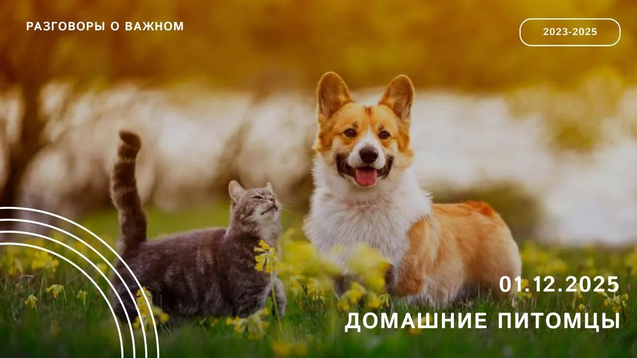 Уважаемые коллеги! 1 декабря на занятии «Разговоры о важном» мы поговорим о том, какую роль играют д