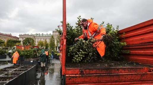 Сад-трансформер на Синем мосту в Петербурге начали разбирать на зиму