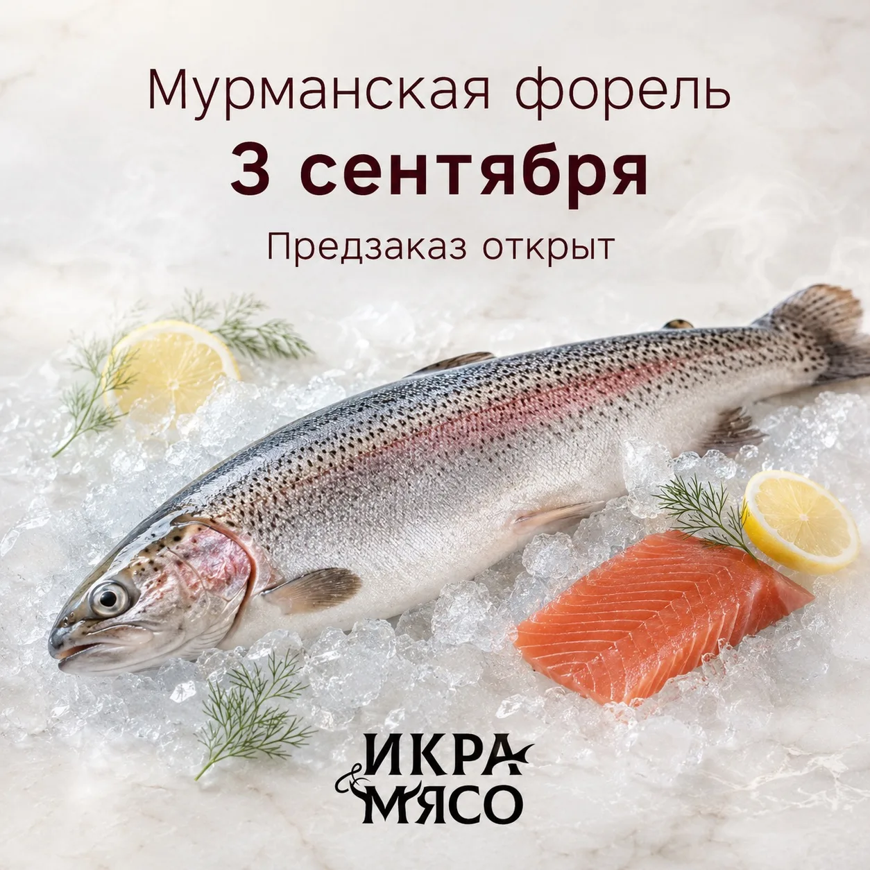 ОТКРЫВАЕМ СБОР ЗАКАЗОВ НА ОХЛАЖДЁННУЮ ФОРЕЛЬ ИЗ МУРМАНСКА!