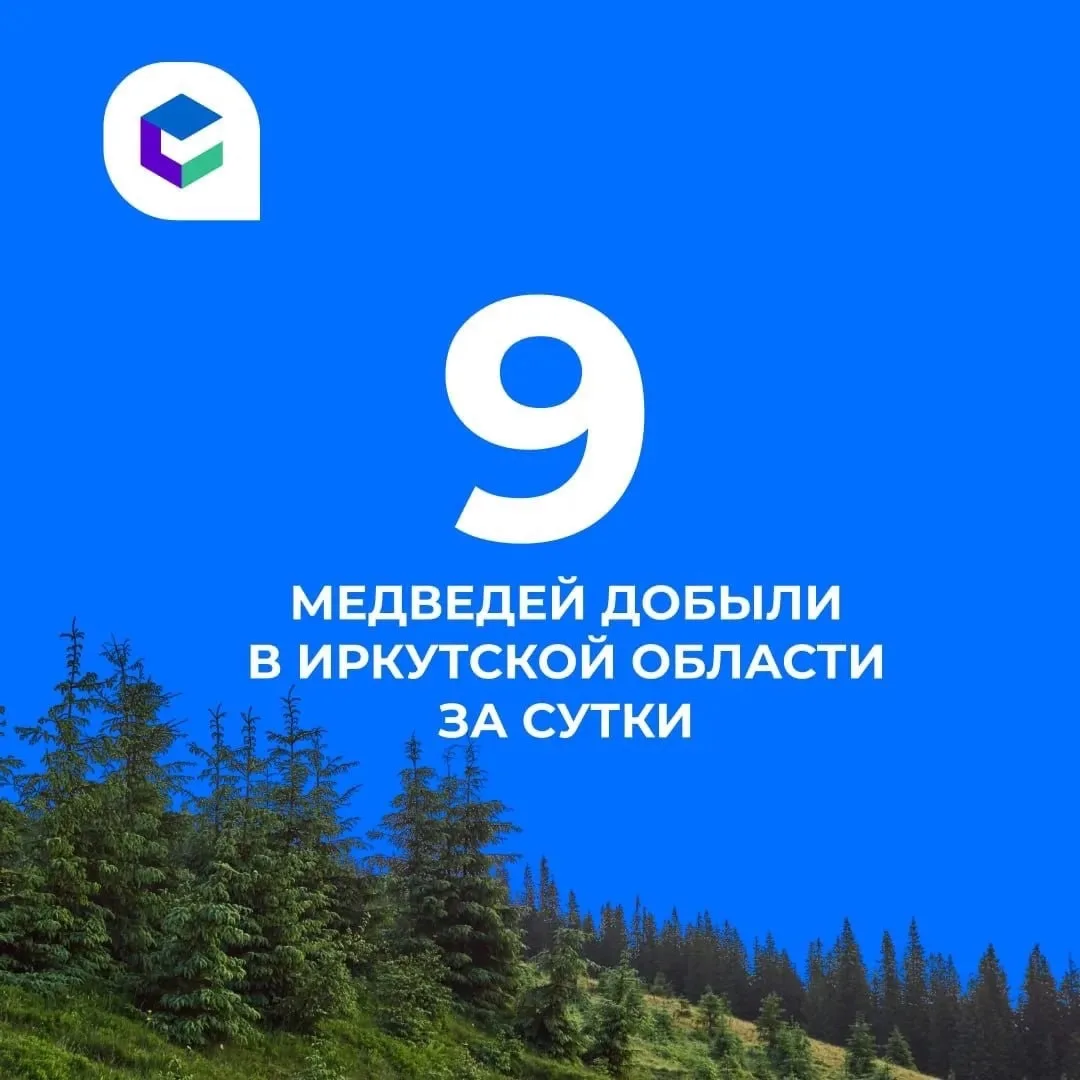 ⚠️За прошедшие сутки в Иркутской области добыли 9 медведей. Всего в 2026 году в рамках ...