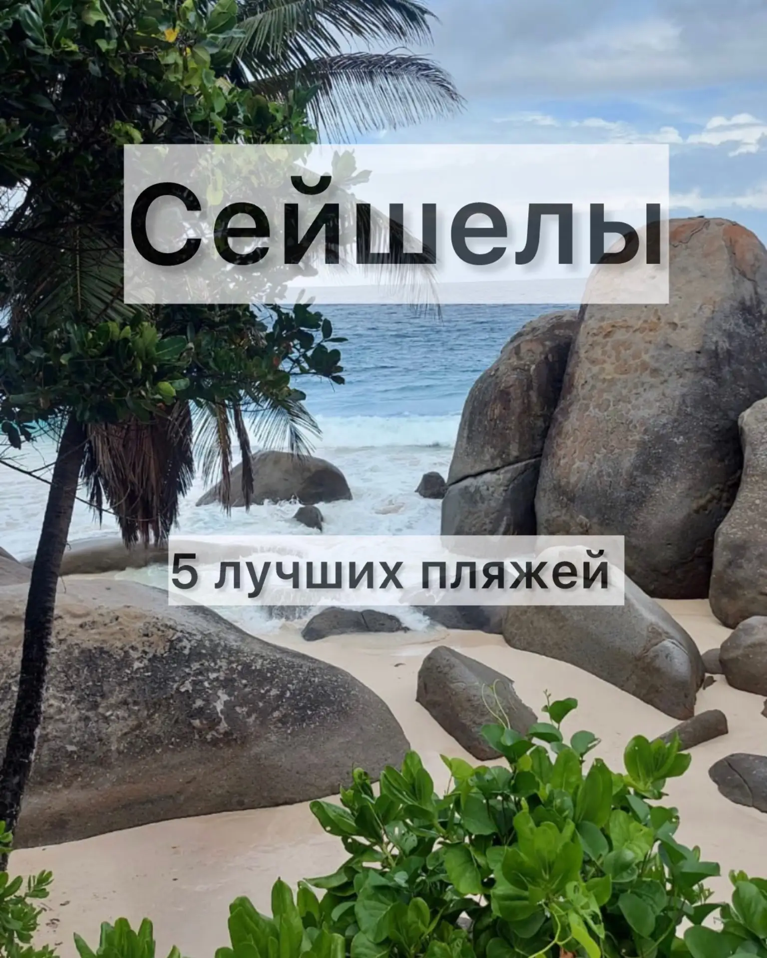 🦪 Белоснежный песок, огромные гранитные валуны, пальмы, склоняющиеся к океану, и вода  разных оттен