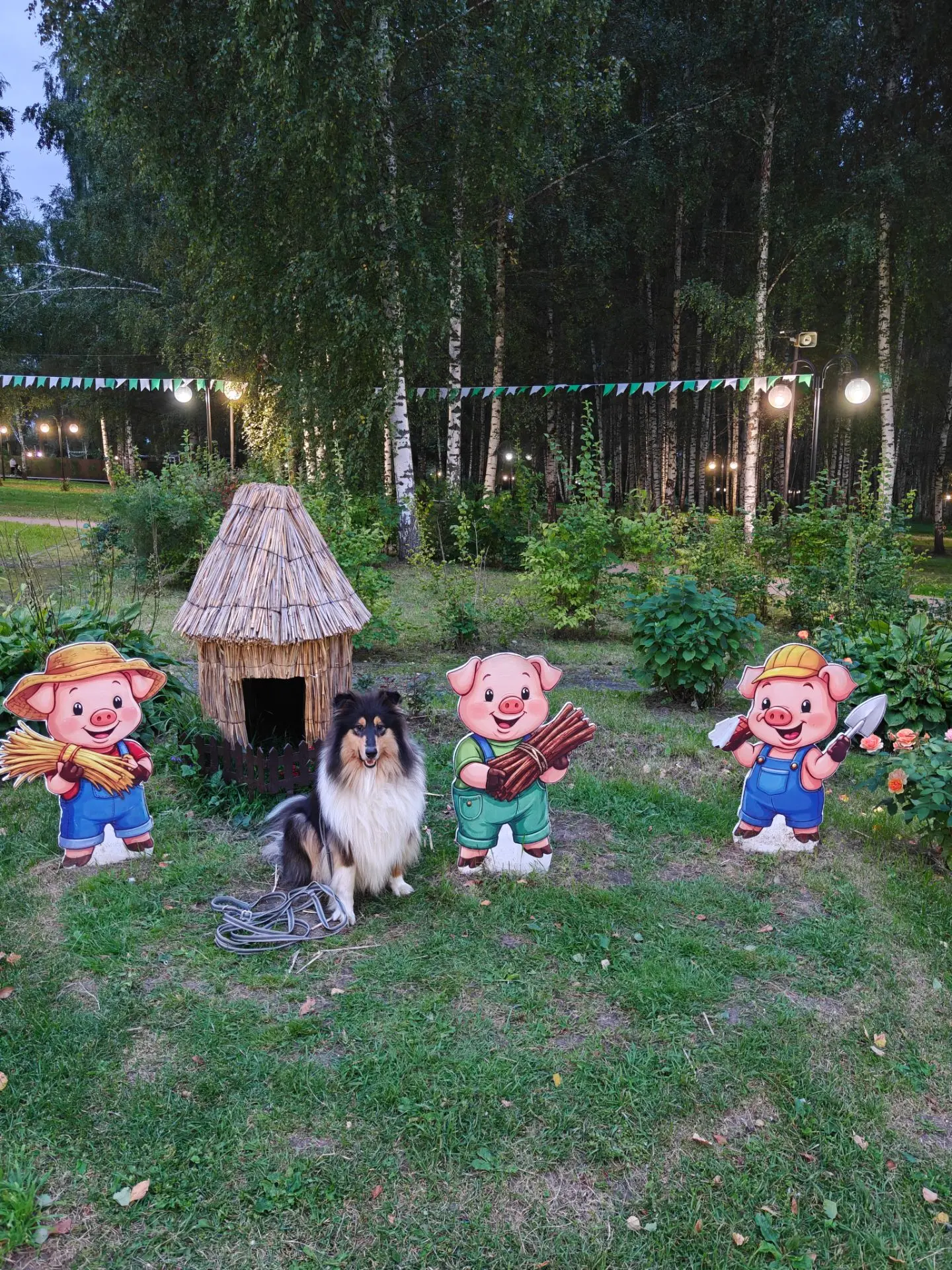 4 поросёнка. г. Клин, Московская область