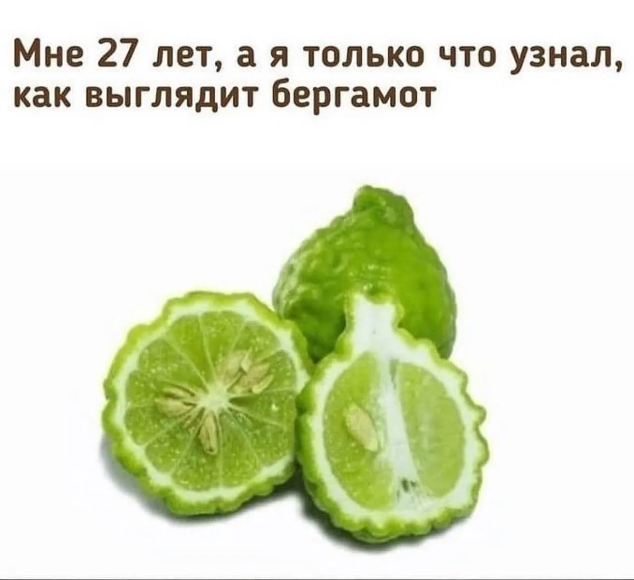 😉а вы знали ?