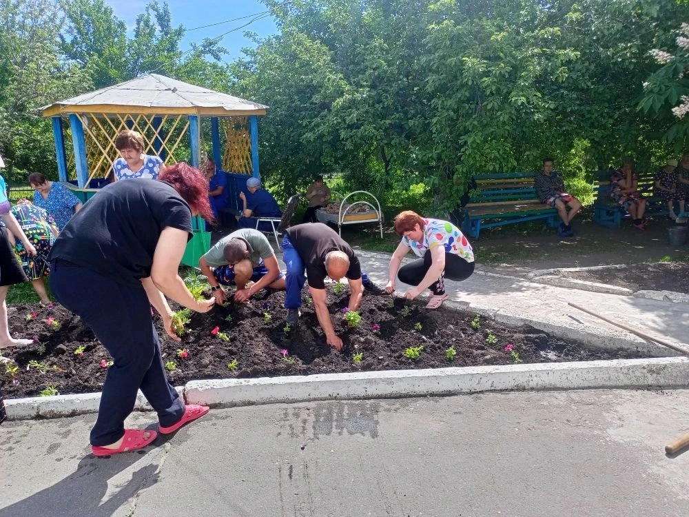 В Колоярском отделении получатели услуг активно включились в процесс посадки цветов на ...