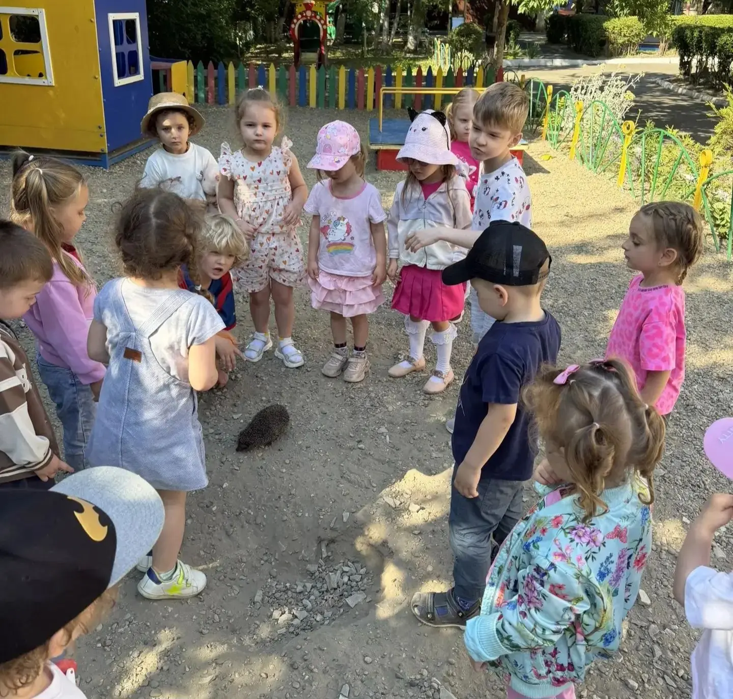 🐾 Необычный гость на нашей прогулке!

🦔 Сегодня во время прогулки ребят ждал настоящий сюрприз — к