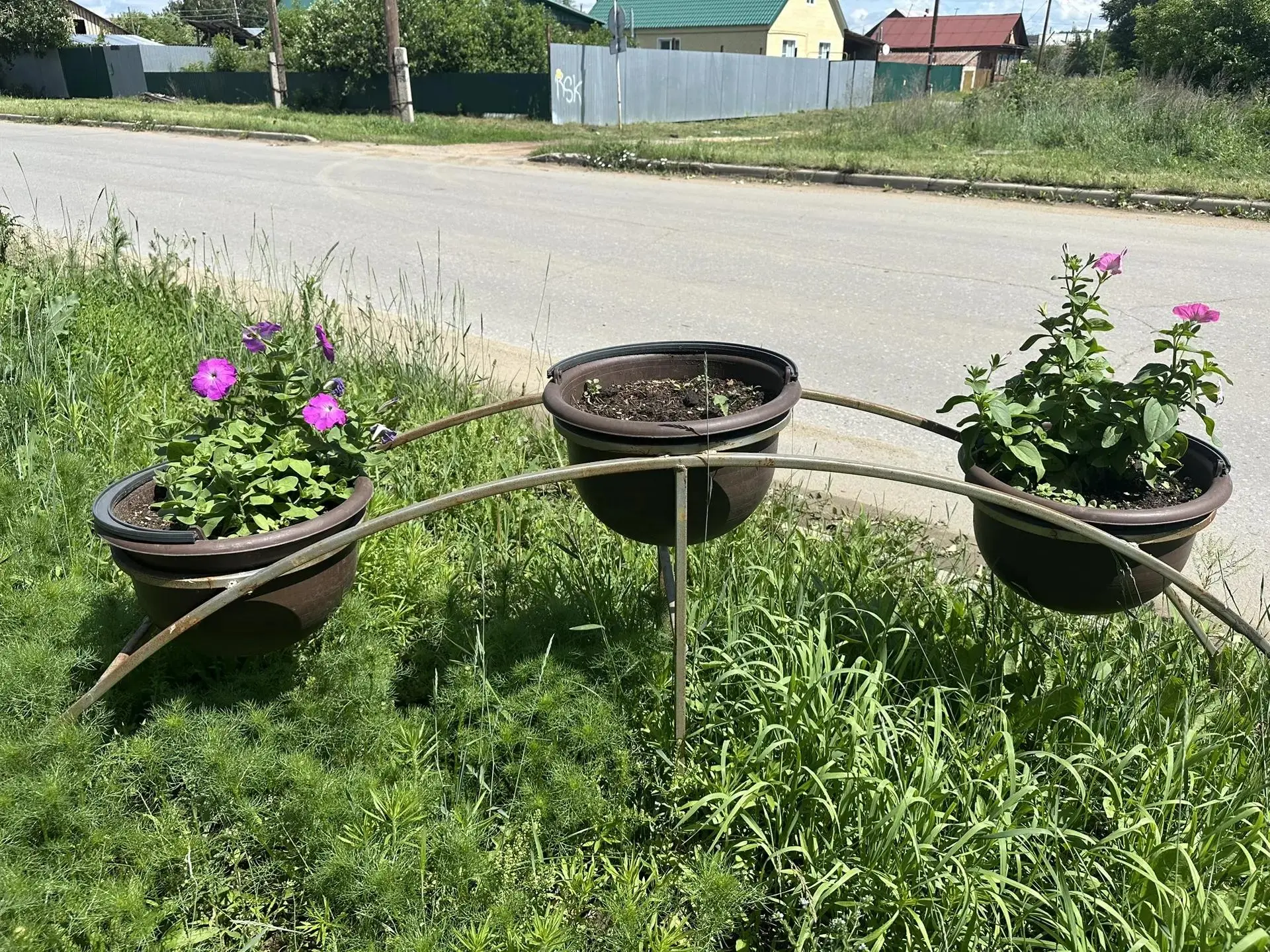 «Мы вырастили красоту. Вы вырастили пустоту».