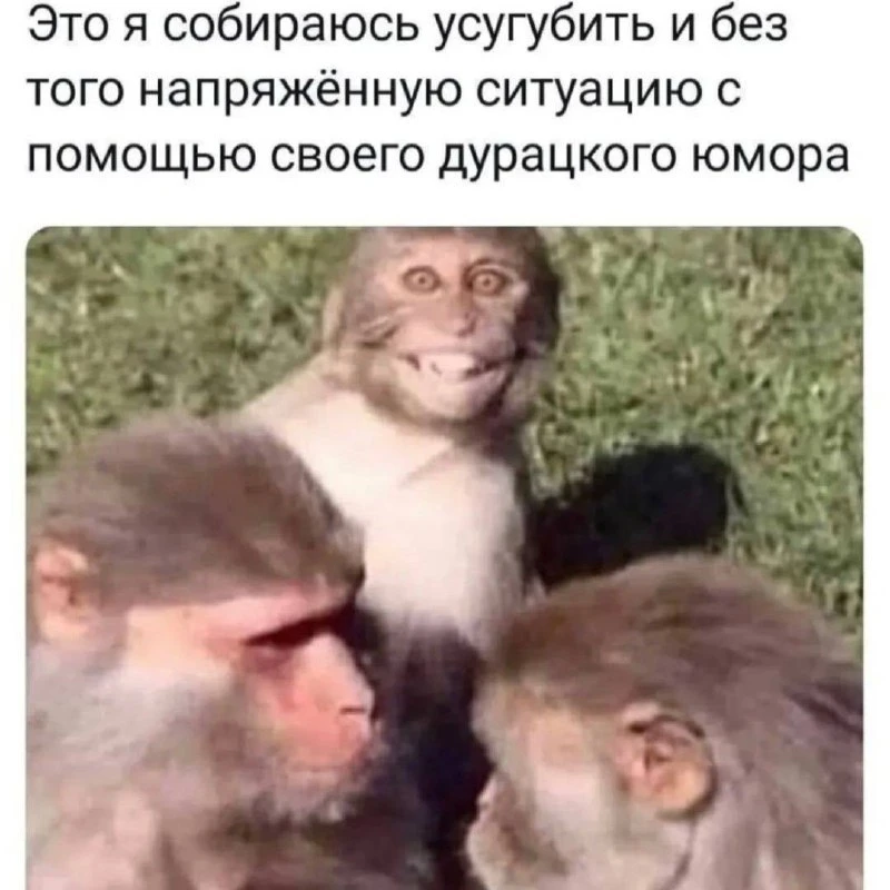 Улётные приколы - Подписаться