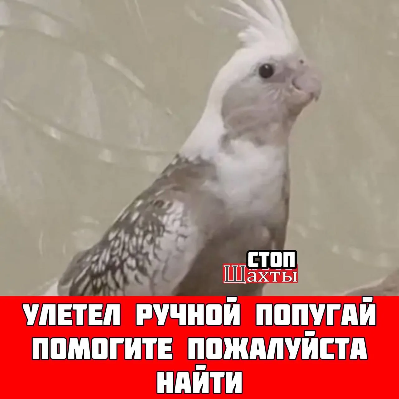 КАЖДЫЙ ЛАЙК И РЕПОСТ ПОМОЖЕТ БОЛЬШЕМУ КОЛИЧЕСТВУ ЛЮДЕЙ УВИДЕТЬ ДАННЫЙ ПОСТ    Добрый день. Помогите 