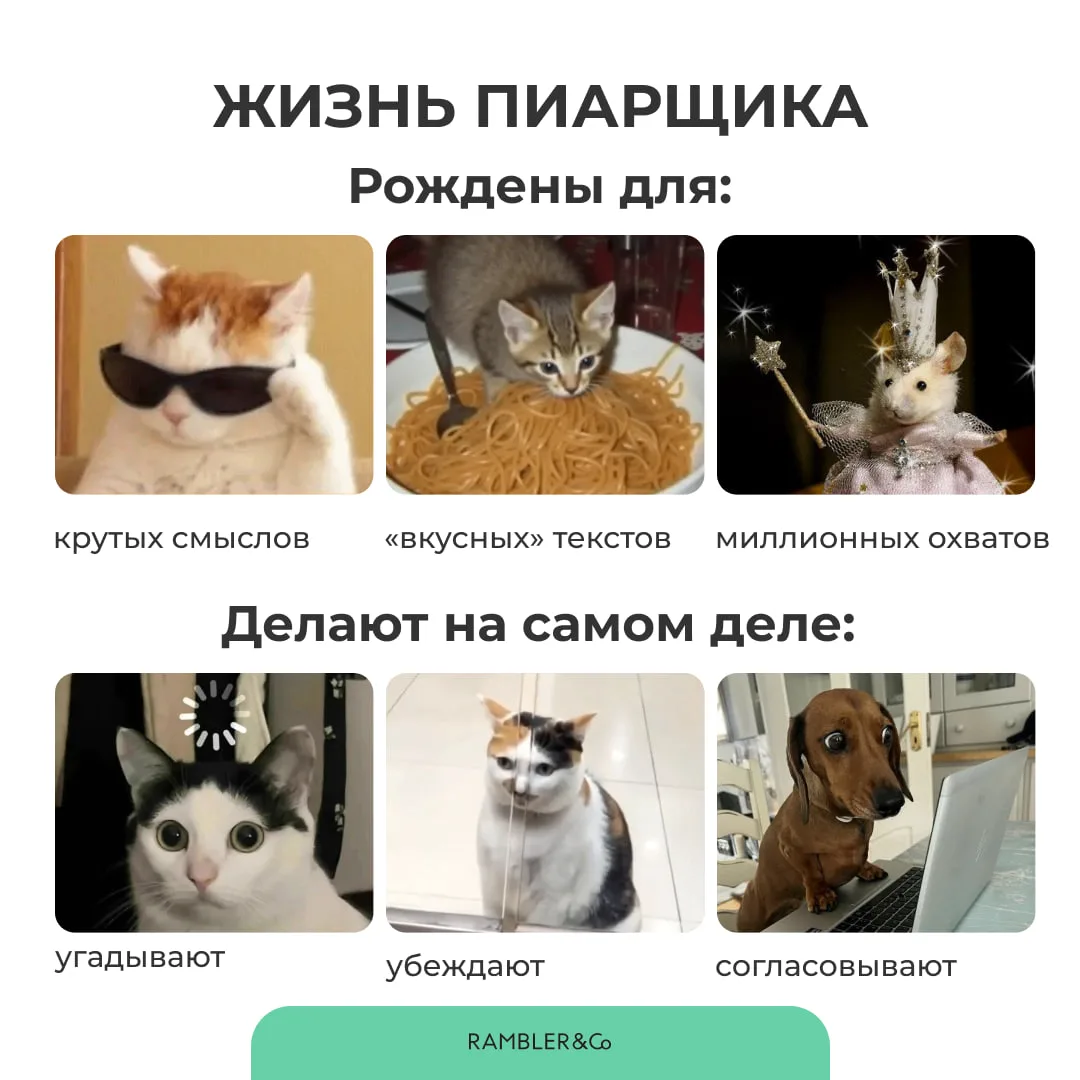 Как выглядит жизнь пиарщика в одной картинке.
