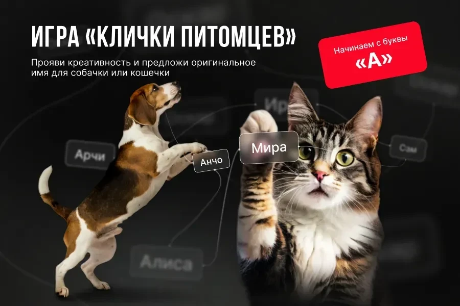 Друзья, объявляем творческий конкурс «Клички питомцев»! Проверьте свою фантазию и предложите оригина