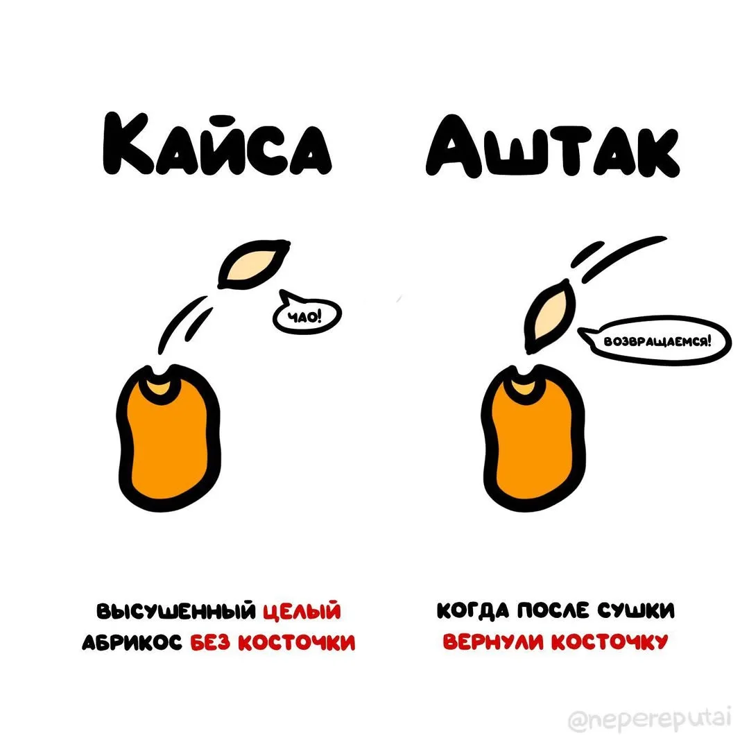 Поклонникам сушёных абрикосов посвящается... 🍑

Мы в МАХ