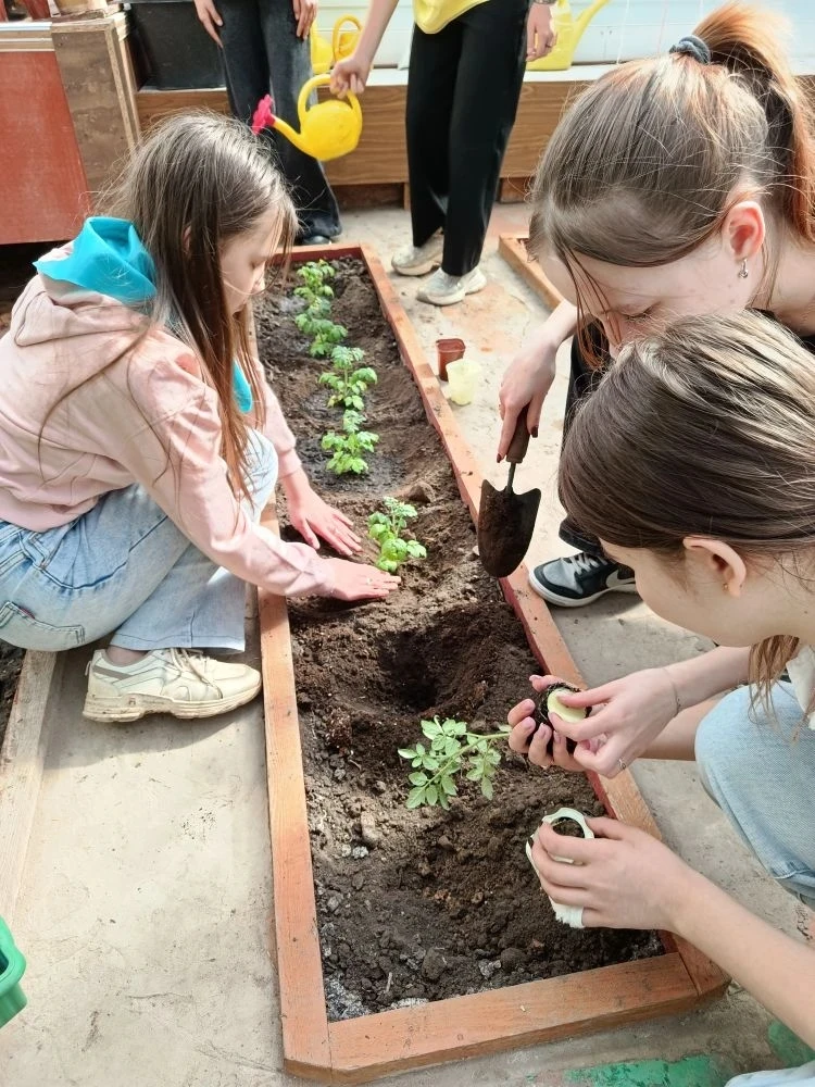 Теплица, томаты и заслуженная ПОБЕДА! 🍅✨  Сегодня в нашей школьной теплице было по-настоящему жарко!