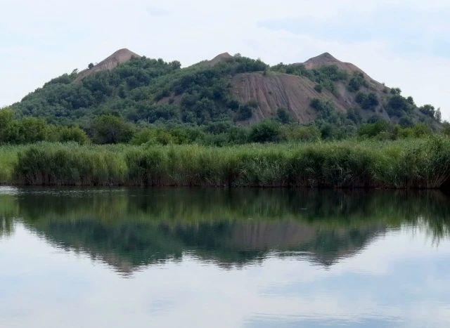 ✨Начинаем день с гороскопа✨