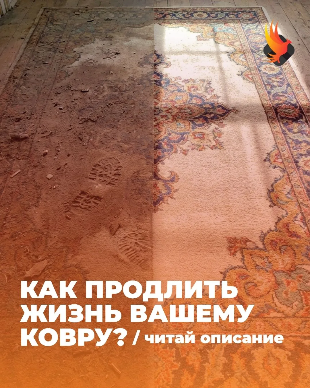 Как продлить жизнь вашему ковру?