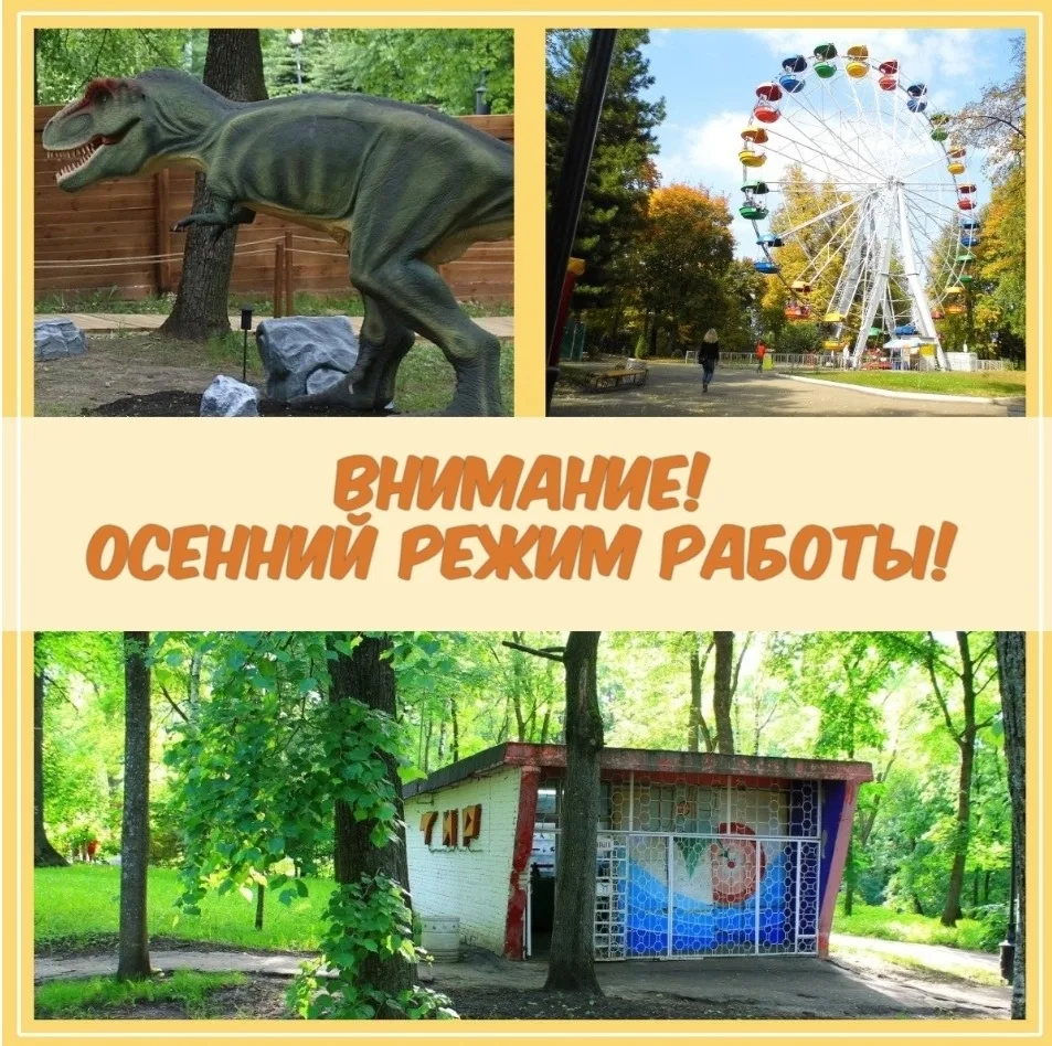 Дорогие друзья!