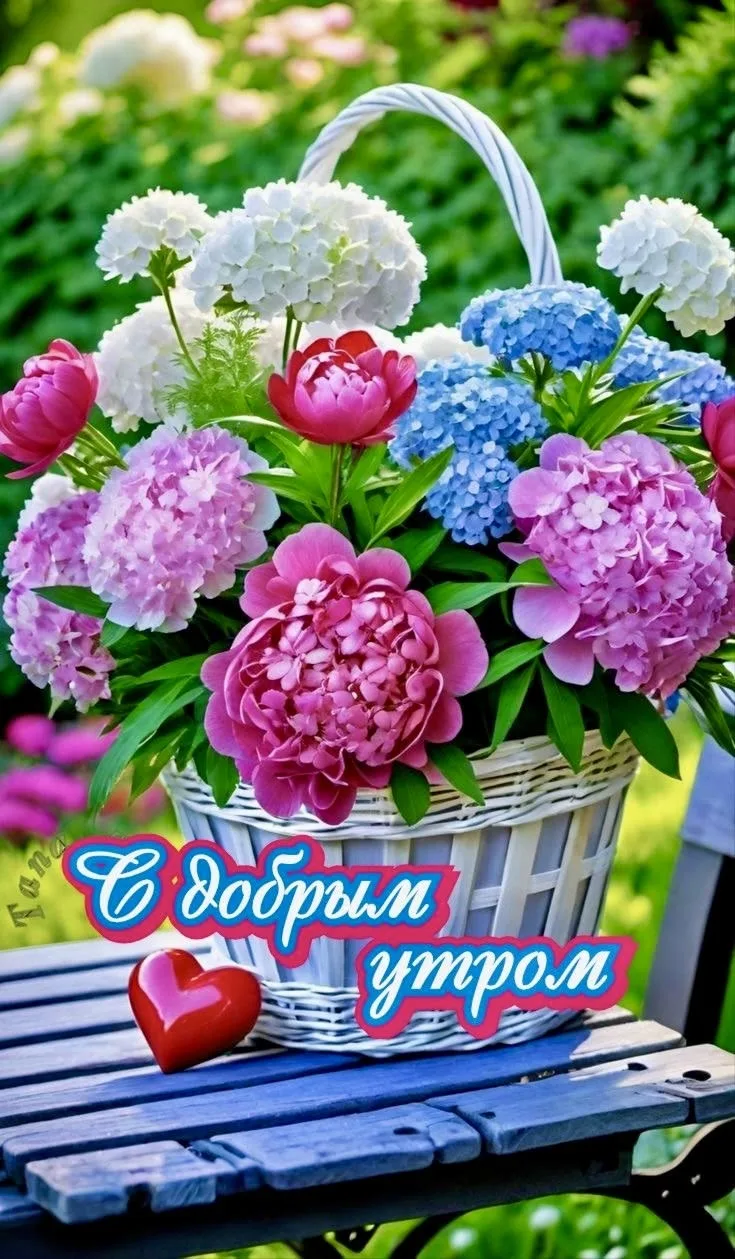 Доброе утро!♥️