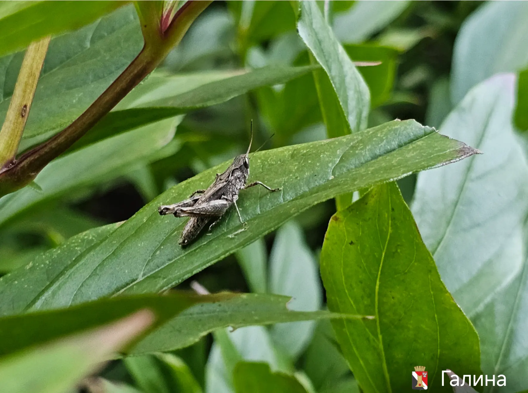 🦗Продуктивного понедельника!