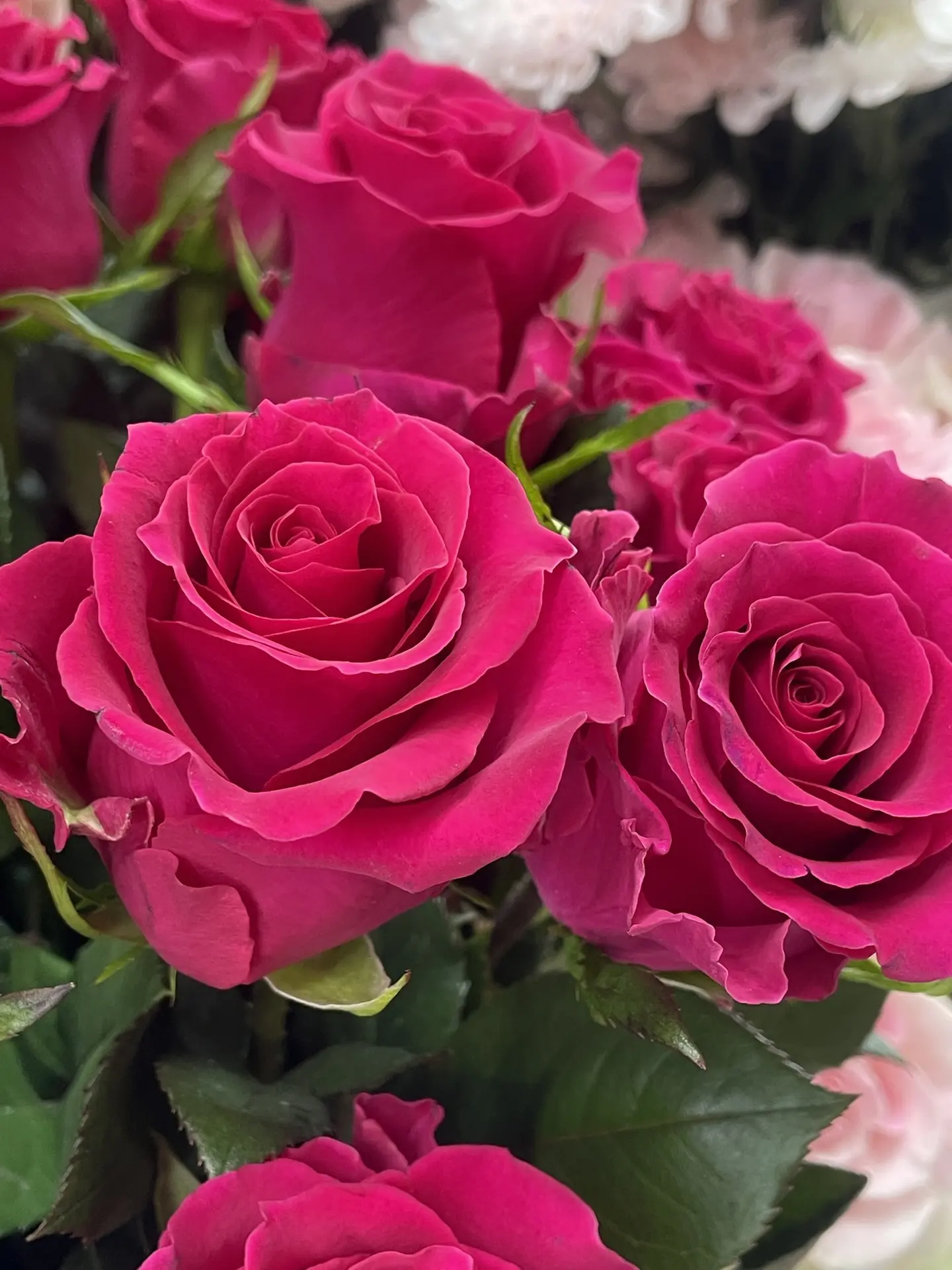 Поступление свежих цветочков 🌺