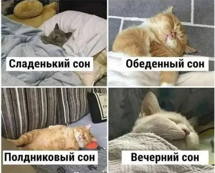 😴 Взрослым с нормальным режимом не нужен дневной сон, — терапевт