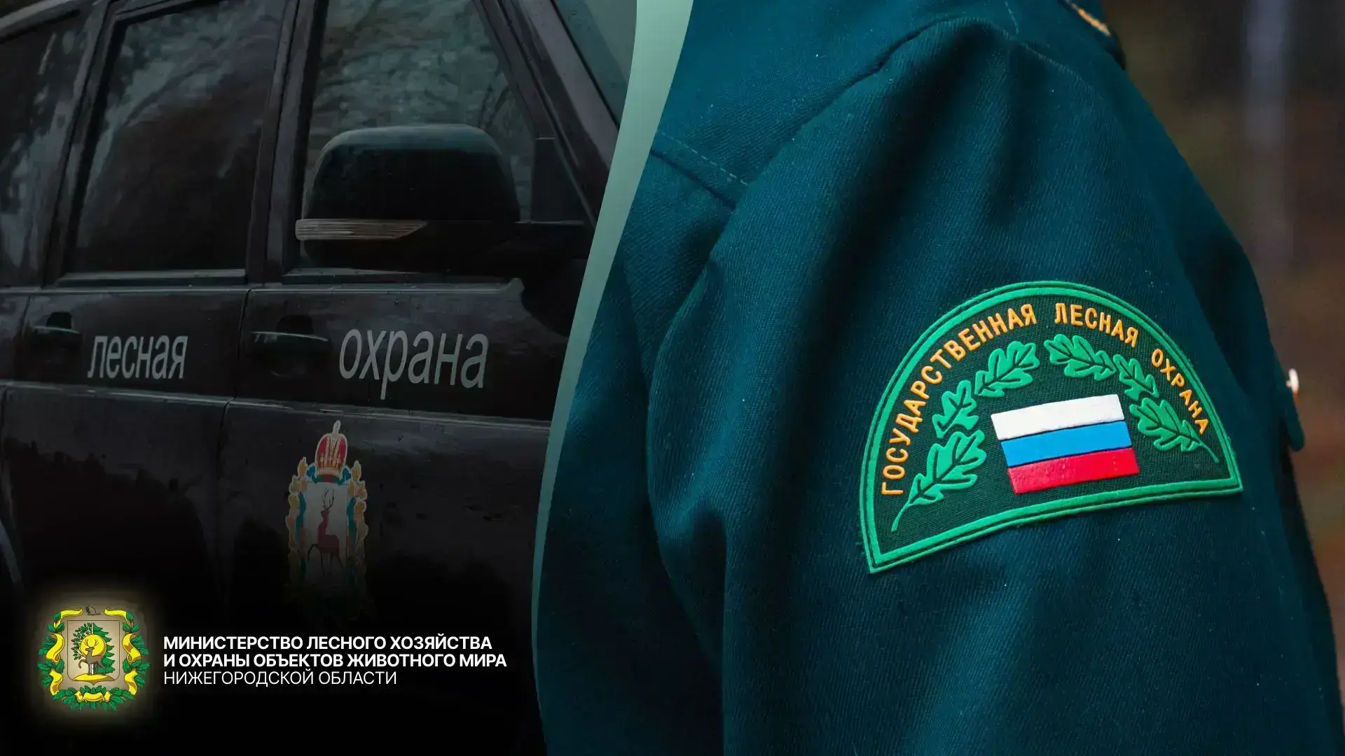 📊 Деятельность лесной охраны в цифрах. 

23286 патрулирований лесов провели лесные инспекторы с нач