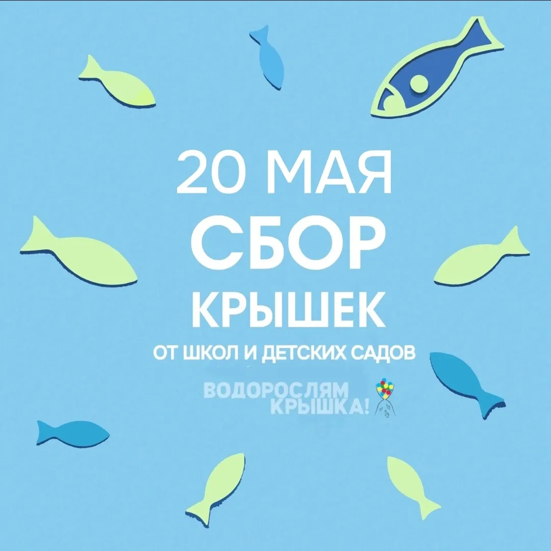 🐟💧Акция «Водорослям — крышка!»

Учащиеся нашей школы круглый год принимают активное участие в экол
